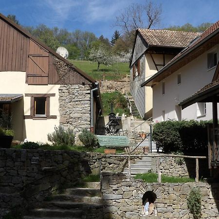 Studio A Murbach Au Calme Exteriér fotografie