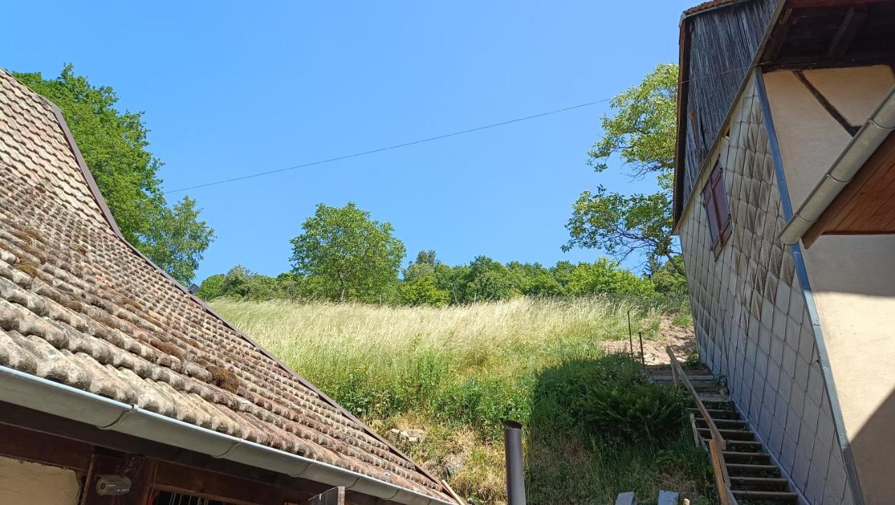 Studio A Murbach Au Calme Exteriér fotografie