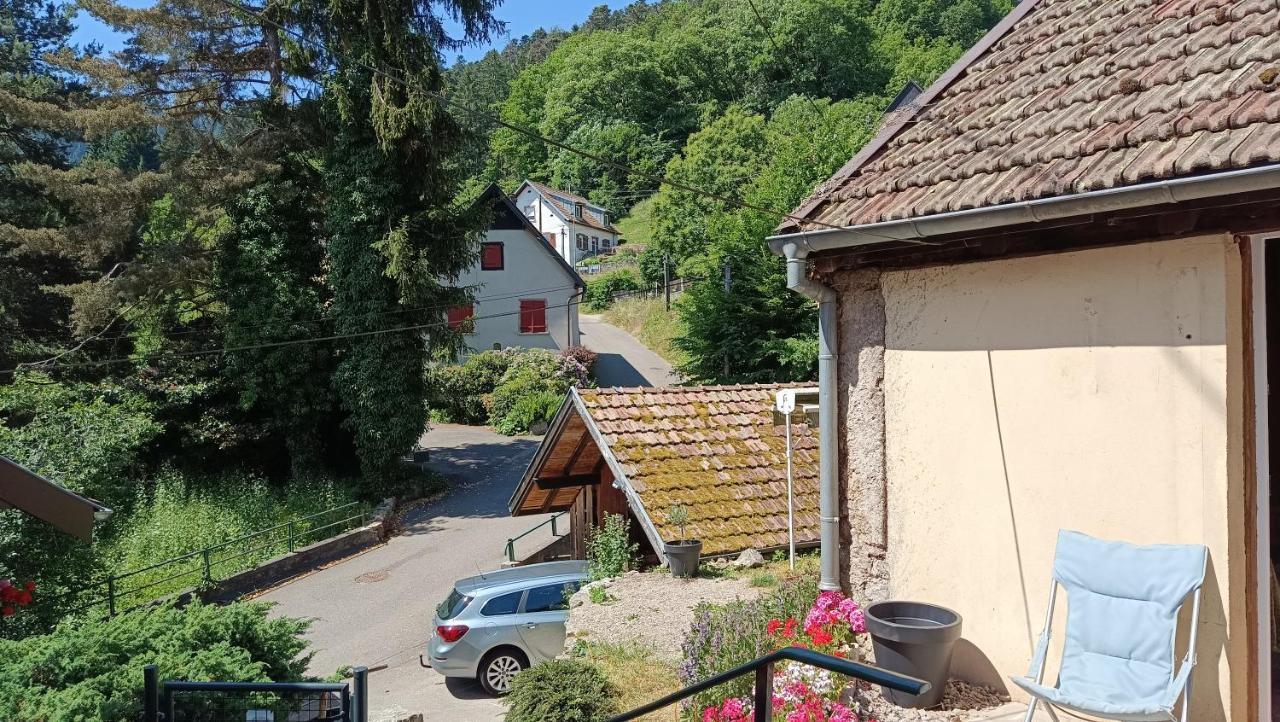 Studio A Murbach Au Calme Exteriér fotografie