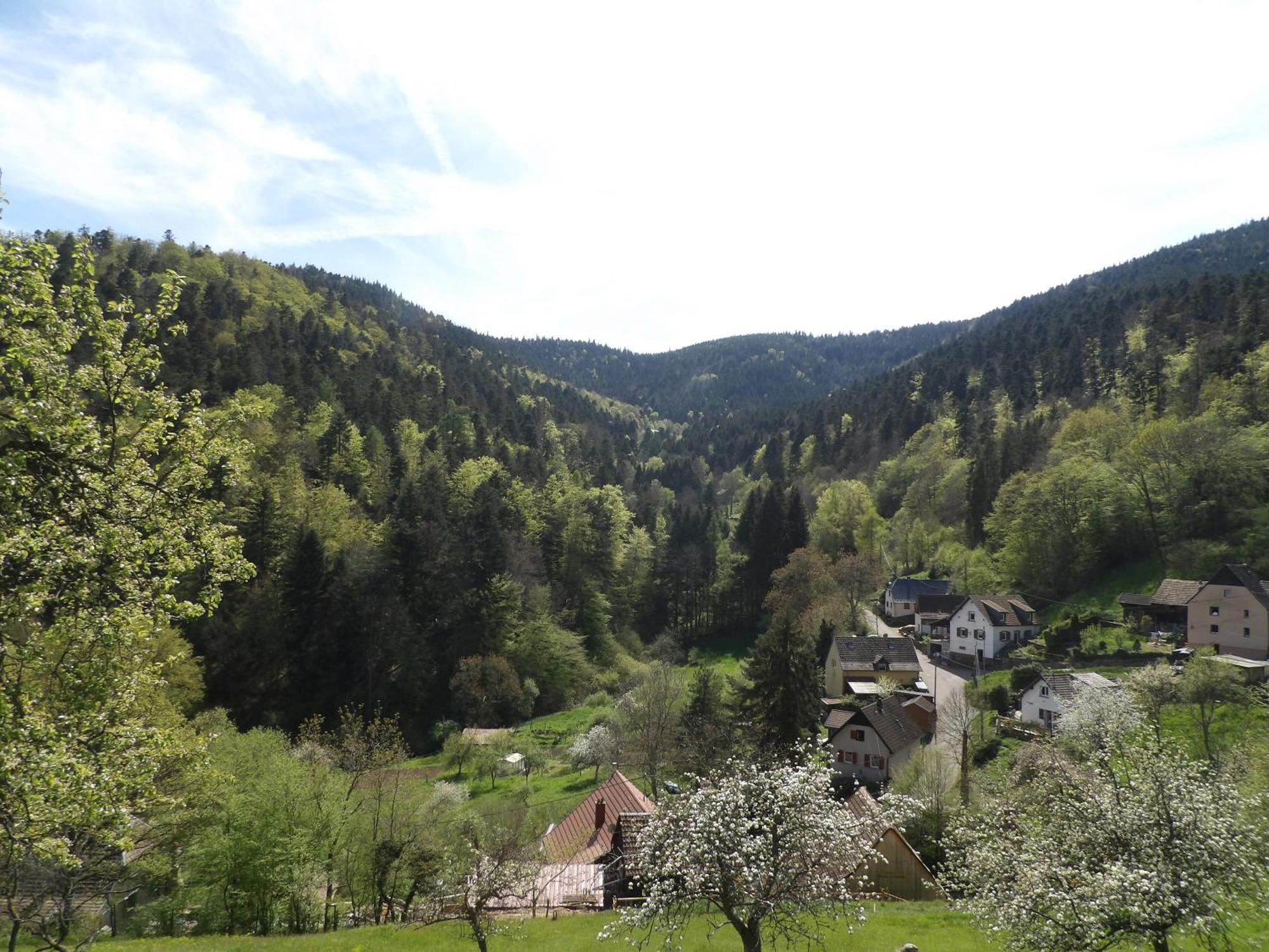 Studio A Murbach Au Calme Exteriér fotografie